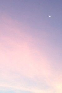 开云体育赛事比分直播-UFC白大拿认为宋亚东没必要跟赛胡多重赛，宋亚东ufc排名雏量级