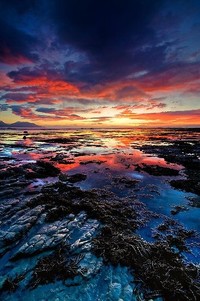 开云体育入口客服-加拿大女足队教练组进行轮换