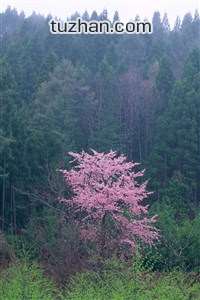 开云体育安卓APK下载-荷兰队备战关键比赛，力争晋级