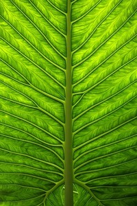 开云体育入口注册-赫罗纳力克主场，取得胜利鼓舞士气