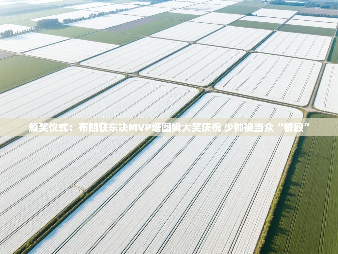 开云体育注册-颁奖仪式:布朗获东决MVP塔图姆大笑庆祝 少帅被当众“群殴” 第3张